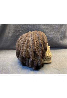 Skull Rasta braun