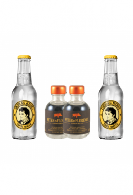 Degu-Box Gin 2x5cl & Tonic 2x20cl