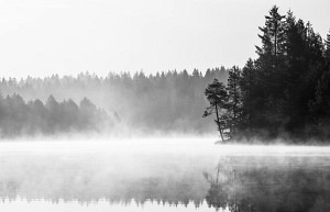 Trauerkarte Etang de la Gruere