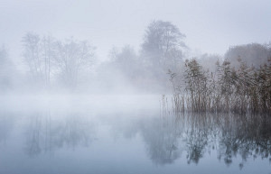 Grusskarte Hallwilersee