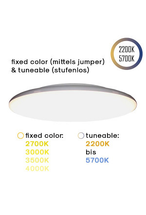 LED Surface Light 24V, 25W, 2200K/5700K, CCT+, CRI90