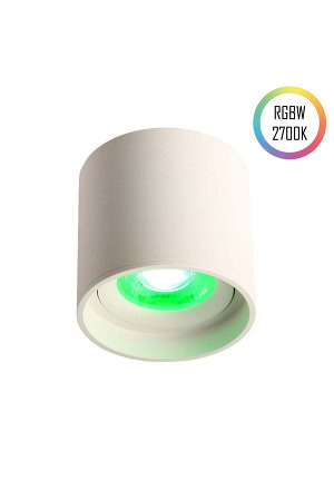 LED Ceiling Spot 24V, 8W, RGBW/2700K, CRI90