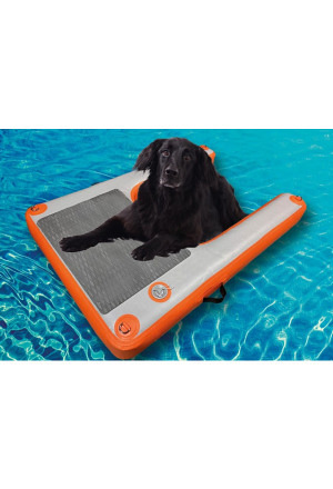 Hundebadeleiter -54kg