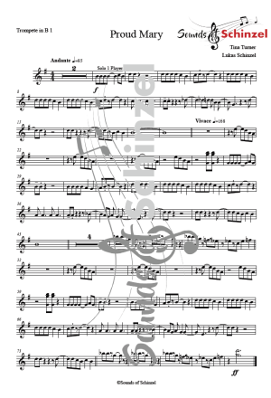 Proud Mary - Tina Turner