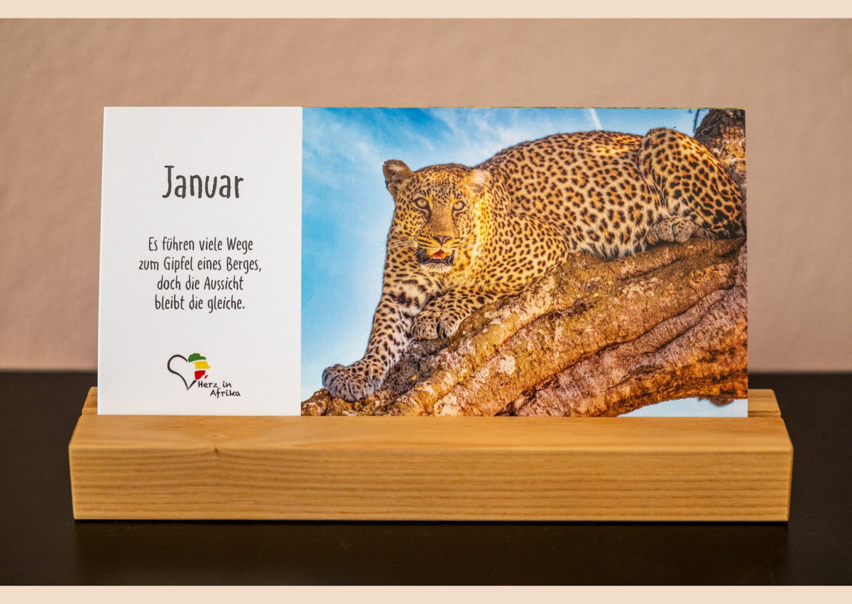 Benefiz Afrika Tischkalender Serie Chui (neue Edition)