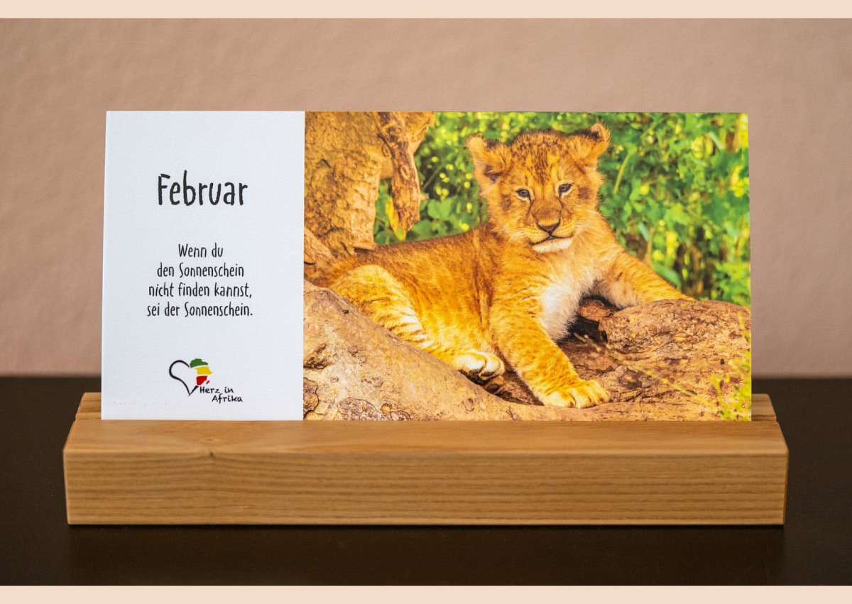 Benefiz Afrika Tischkalender Serie Chui (Edition 2025)