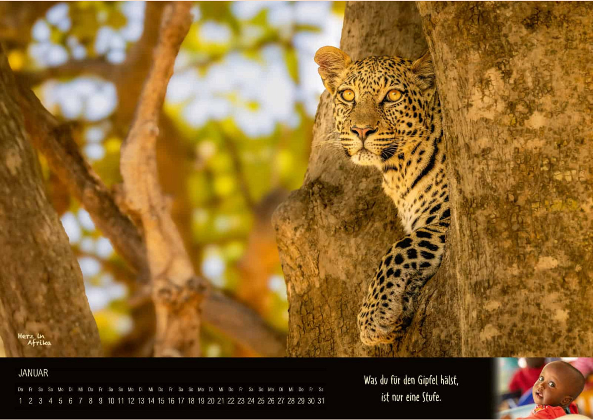 Benefiz Afrika Wandkalender 2026  "Herz in Afrika"