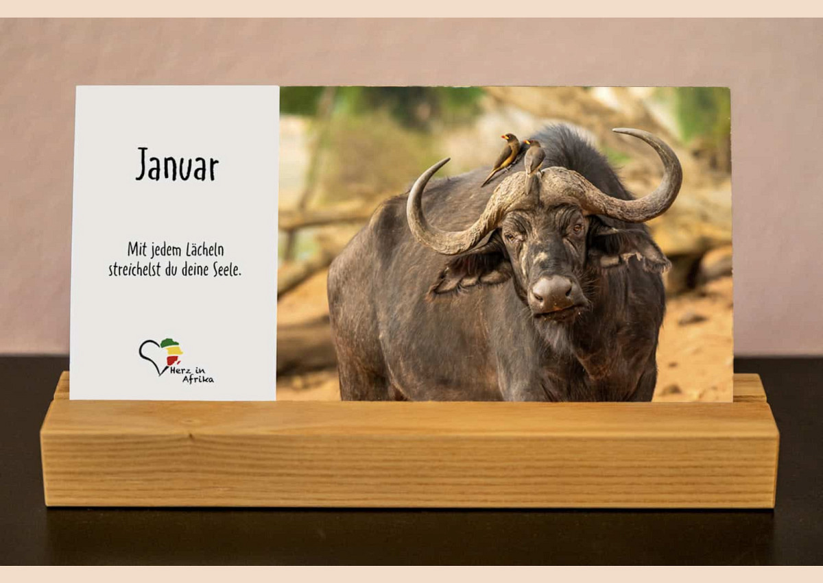 Benefiz Afrika Tischkalender Serie Nyati (Edition 2026)