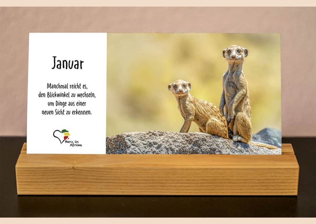Benefiz Afrika Tischkalender Serie Surikati (Edition 2027)