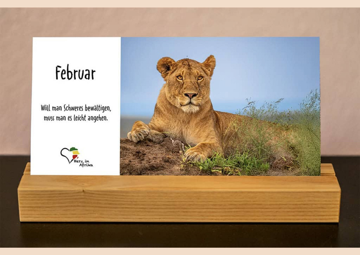 Benefiz Afrika Tischkalender Serie Surikati (Edition 2027)