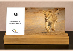 Bild 7 von 12
