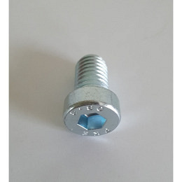 100 Stk. Zylinderschrauben mit Innense..