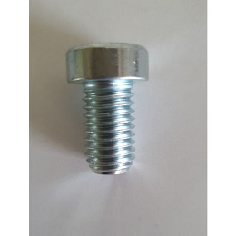 100 Stk. Zylinderschrauben mit Innensechskant M12 x 20 , ohne Schaft