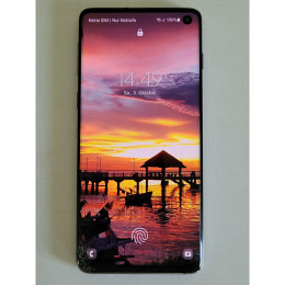 Samsung Galaxy S10 G973F / DS