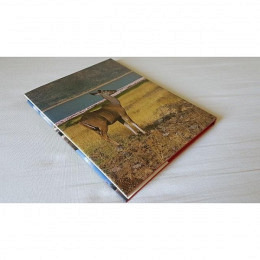 Buch Kenia - Michael Tomkinsons