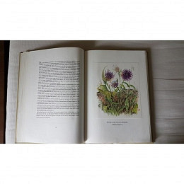 Bergblumen der Heimat Silva Verlag