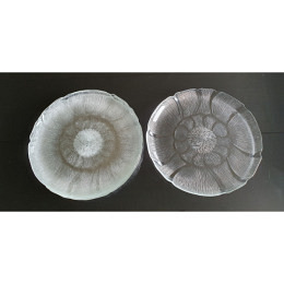 6 Stk. Dessert -/ Salat Teller Set 27cm