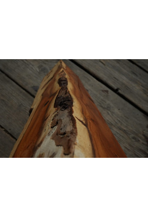 Eiben Kanteln/Drechseln 