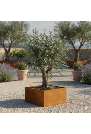 FLEX Beet  LxTxH 80 x 80 x 40 cm