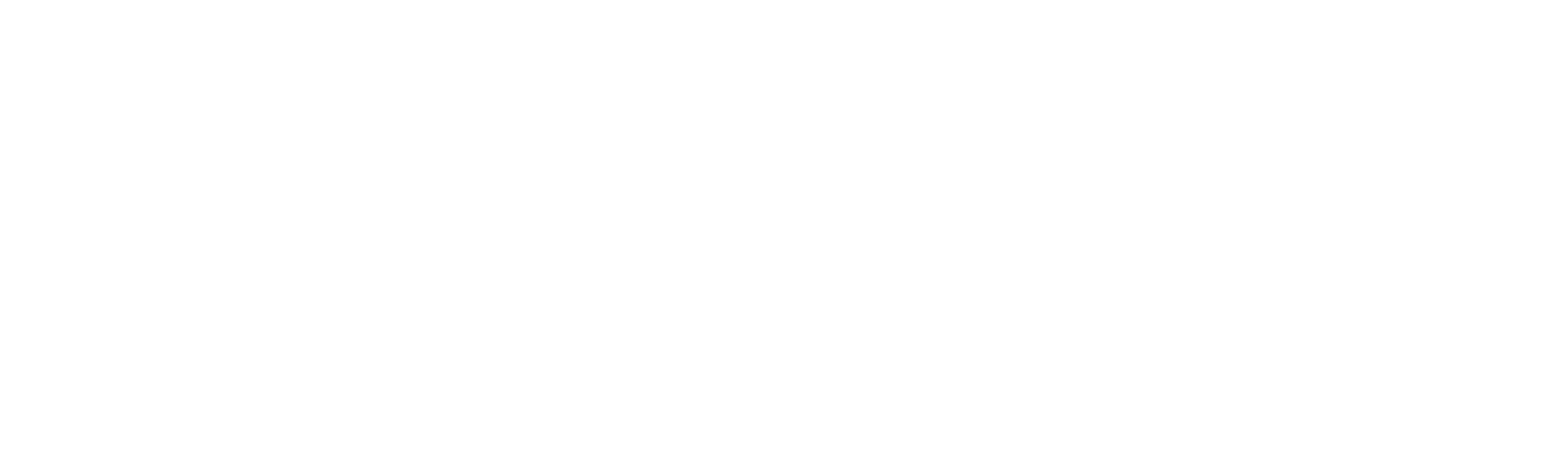 LiiPRiNT