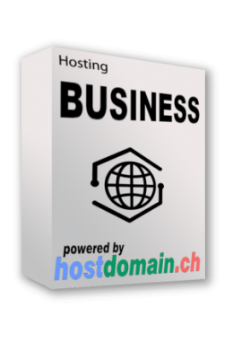 Hosting Business