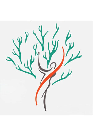 Swiss Tree Climbing Competition 2026