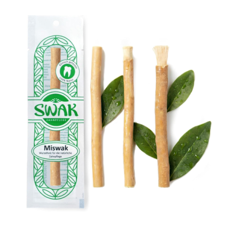 Miswak-Stick frisch