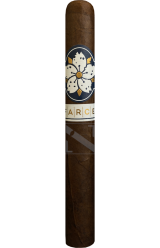 Room 101 - Farce Maduro - Gordo