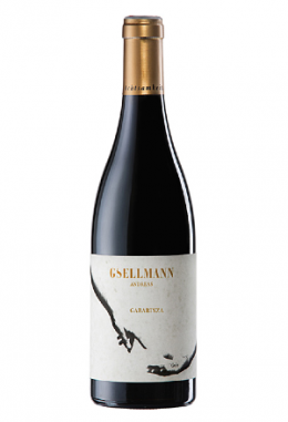 Ried Gabarinza Bio - Andreas Gsellmann