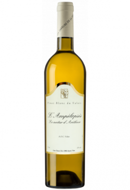 Pinot Blanc Ampélopsis - Cave Emery