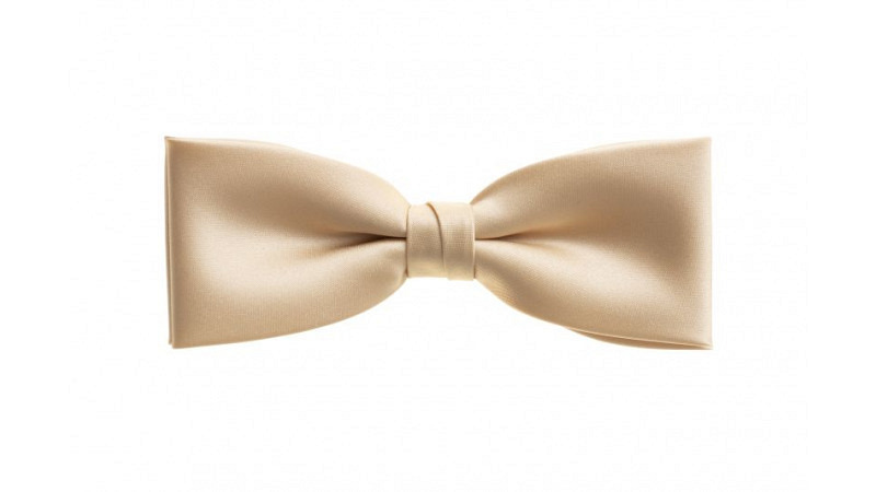 Fliege no 22 Farbe nude