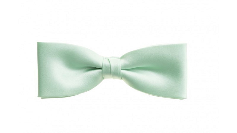 Fliege no 40 Farbe lindengrün