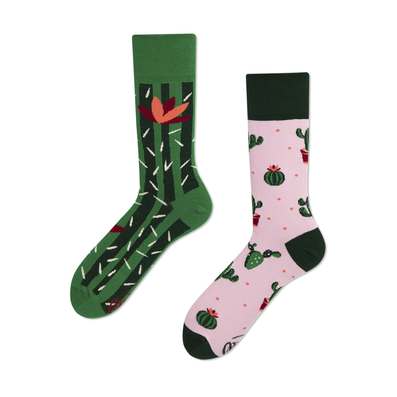 Sox Cactus
