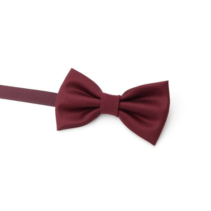 Fliege bordeaux 151762