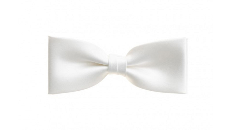 Fliege no 20 Farbe weiss