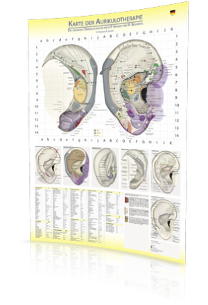 Aurikulotherapie Karte