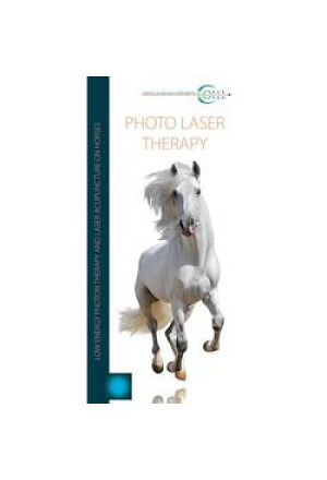 Flyer Laser Therapy Vet Horse