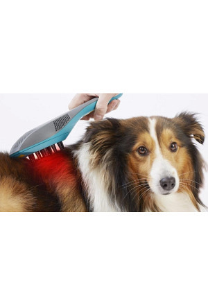 Laserdusche PowerTwin21