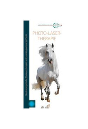 Flyer Lasertherapie Vet Pferd