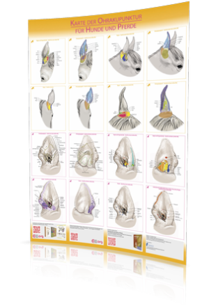 Karte der Ohrakupunktur f. Hunde u. Pferde