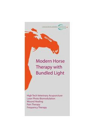 Flyer Laser Acupuncture Vet Horse