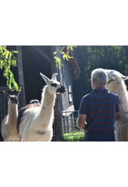 Tiergestütztes Einzelcoaching