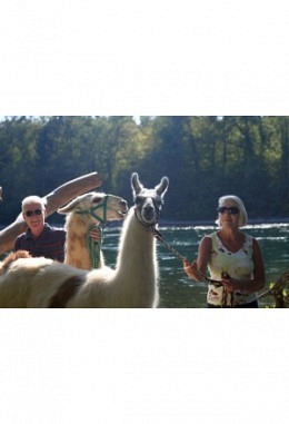 Lama-Trekking "Chli aber ohoo" (140min) Gutschein
