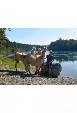 Lama-Trekking "Bin dann mal weg" (8h) Gutschein