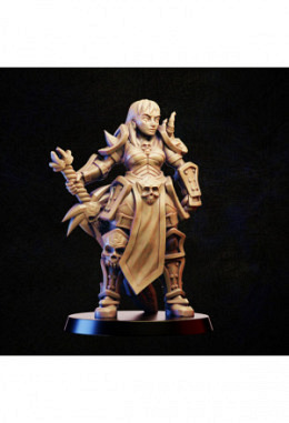 Weibliche Krieger 3D Modell für Tablet..