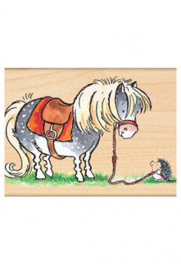 Shetland Pony mit Igel (minding shelty)