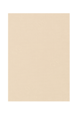 Papier "chamois" A4
