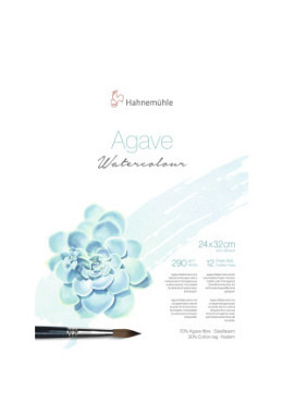 Hahnemühle "Agave" 24x32cm