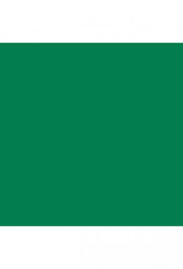 Siser P.S. Film grün