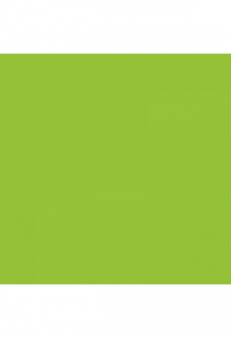 Siser P.S. Film lime